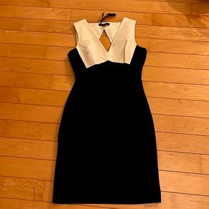 NWT Banana Republic Sloan Dress